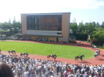 20130728_パドック151850.jpg